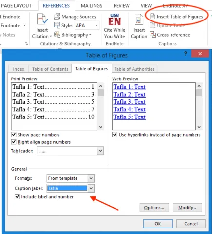 Mynd af valmöguleikum fyrir Table of Figures